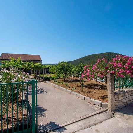 Rupe Apartment Luka מראה חיצוני תמונה